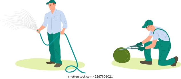 The gardener cuts the bush with scissors in the garden, hand labor to create a landscape design, the gardener waters the garden. Flat cartoon cartoon vector illustration.