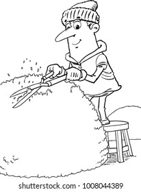 gardener cutting the bushes