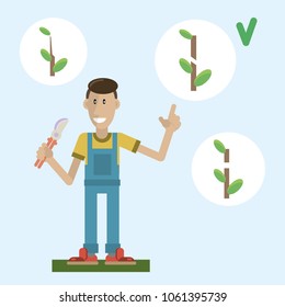 The gardener explains the rules of pruning fruit trees. Vector illustration in a flat style