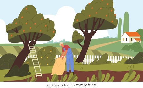 Gardener or farmer picking apples. Vector illustration, banner or background. Summer or autumn harvesting season, apple gathering. Rural scene, countryside landscape. Farming and agriculture theme.