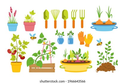 Gardener flat cartoon set for garden. Vegetable village seedlings, garden sprout cucumber and tomato. Gloves, carrots onion and beetroot potatoes. Shovel pitchfork and rake vector