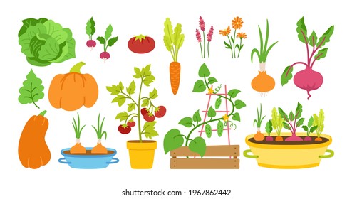 キュウリ 栽培 のイラスト素材 画像 ベクター画像 Shutterstock