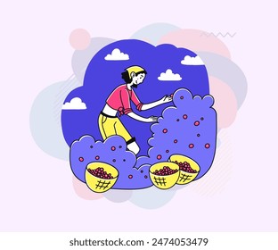 Gardener gathering berries. Woman in garden, harvest, fruit flat vector illustration. Orchard, fresh food, summer concept for banner, website design or landing page