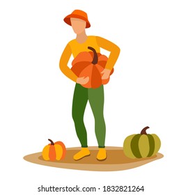 The gardener is harvesting pumpkins for Halloween. Harvest fast gourd. Thanksgiving day. Vector.