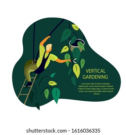 Gardener Man caring for Vertical Garden Green wall. Grower pruning plunt and leaves with Secateurs. Evironment friendly Ecodesign for offices, rooms ecological Grass gardening Flat Vector illustration