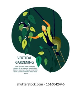 Gardener Man caring for Vertical Garden Green wall. Grower pruning plunt and leaves with Secateurs. Evironment friendly Ecodesign for offices, rooms ecological Grass gardening Flat Vector illustration