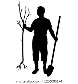 A gardener man is holding a tree sapling and a shovel, vector illustration, black figure of a man on a white background