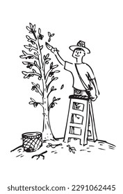 El jardinero poda un árbol. Imágenes prediseñadas editables.