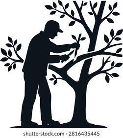 Gardener pruning tree, plant care, horticulture.