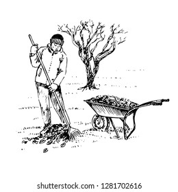 Gardener rakes fallen leaves with a rake and puts in a wheelbarrow, tree without leaves behind, hand drawn doodle, sketch, black and white vector illustration 