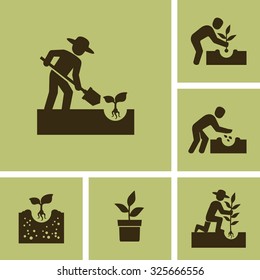 Gardener seedling plant vector icon 