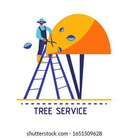 Gardener stands on the scaling-ladder and prunes off the top of the tree's crown with hedge shears. Flat vector illustration. Tree trimming service icon. Garden care concept for design of banners.