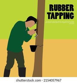 The gardener stands to tapping the rubber tree. 