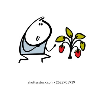 Gardener takes care of strawberry bushes in the garden or on the farm. Vector illustration a cartoon stickman is harvesting, a child has found ripe strawberries in the forest. Wild plant.
