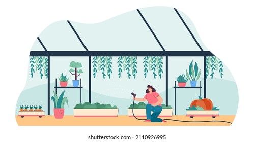 Gardener watering plants with greenhouse equipment. Woman growing flowers, greenery in farm garden of orangery with glass walls and window flat vector illustration. Conservatory, agriculture concept