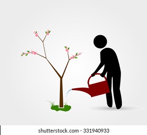 A gardener waters the sakura