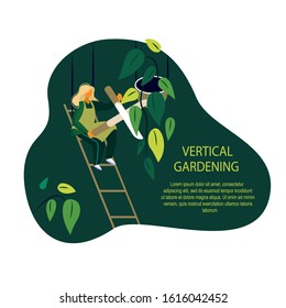 Gardener Woman caring for Vertical Garden Green wall. Grower prun plunt and leaves with Secateurs. Evironment friendly Ecodesign for offices, rooms ecological Grass gardening Flat Vector illustration