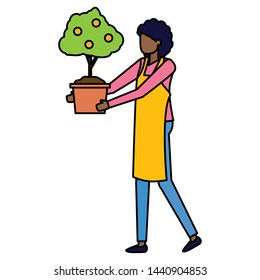 gardener woman with tree fruits in pot work gardening vector illustration