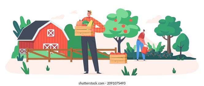 Gardeners Collect Fruit and Vegetable, Farmer Characters Working in Garden or Orchard Harvesting Crop. Ecological Healthy Farm Production. Seasonal Agriculture Work. Cartoon People Vector Illustration