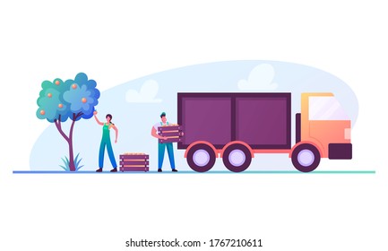 Gardeners or Farmers Characters Harvesting Ripe Fruits into Wooden Boxes and Loading in Truck for Delivering on Factory for Producing Fruits Juice, Manufacture. Cartoon People Vector Illustration