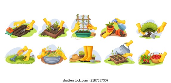 Gardeners hands in rubber gloves work in garden. Cartoon farmer working with growing plants and vegetables with gardening tools, rake, fork, shovel and secateurs isolated set vector illustration