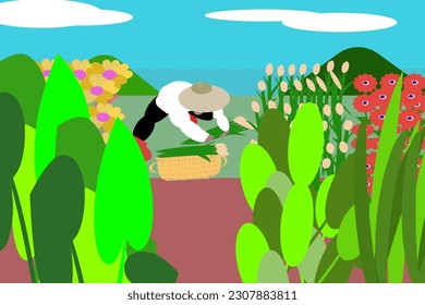 Gardeners are picking flowers to put on baskets.