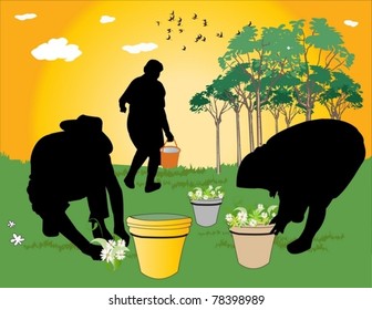 gardeners working in the field