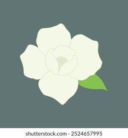 O Gardenia flor vetor arte ilustração é um arquivo de design gráfico digital com uma representação detalhada e artística de uma flor Gardenia, perfeito para uso em vários projetos de design.