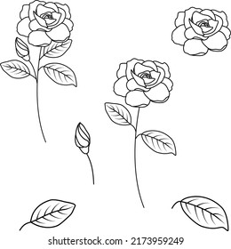 Gardenia flower vector outline illustrations