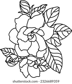 Gardenia line drawing vector, black,hand drawn flower 