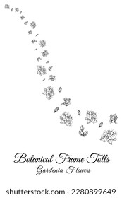 gardenia line flow of flower petals flowers.
frame and pink background vector illustration.