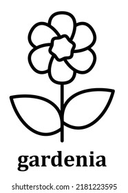 Gardenia vector linear icon. Gardenia flower petal line and branch with leaves. Simple minimal illustration linear style for mobile concept, web design and more. Pixel perfect vector graphics.