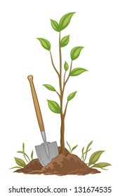 Gardening
