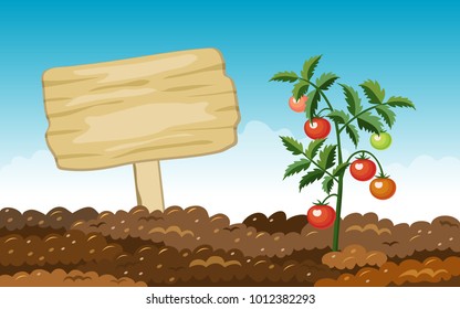 野菜 畑 のイラスト素材 画像 ベクター画像 Shutterstock