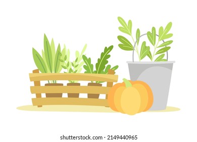 Gardening with Bucket, Pumpkin and Seedling in Pots as Plant Cultivation and Agriculture Vector Illustration