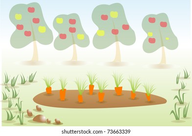 Gardening with carrots