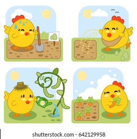 Gardening chicken set: digging a bed, sowing seeds, watering pea plant and harvesting carrots (set of four kawaii style illustrations)