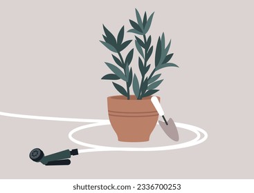 A gardening concept, repoting a plant with garden tools