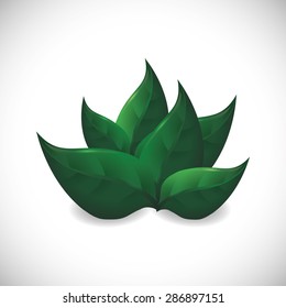 Gardening design over white background, vector illustration