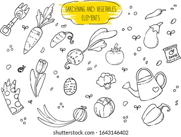 Gardening equipment and vegetables hand drawn vector illustration.  carrots, cucumber, onions, potatoes, eggplant, peppers, broccoli. Watering can, seeds. Doodle style. 
