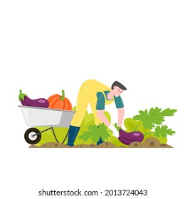 Gardening farmer man gathering harvest, vector illustration. Female gardener picking vegetables.