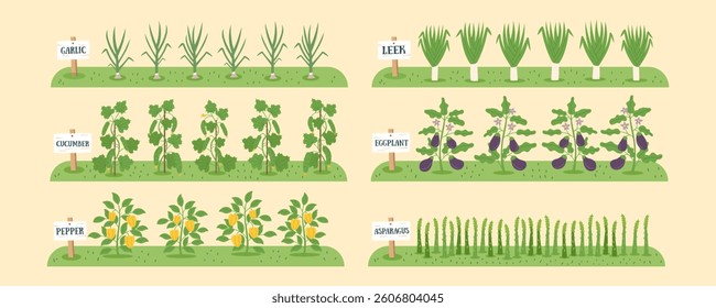 Gardening and farming concept banner. Nature background with beds of vegetables. Regenerative and sustainable farming concept. Vegetable cliparts. Vector flat background. 