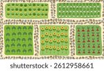 Gardening and farming concept seamless pattern. Nature banner of vegetables on beds. Regenerative farming concept. Vector flat background.