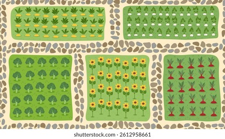 Gardening and farming concept seamless pattern. Nature banner of vegetables on beds. Regenerative farming concept. Vector flat background.