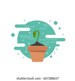 Gardening and garden tool concept. Seedling plant in pot flat vector illustration