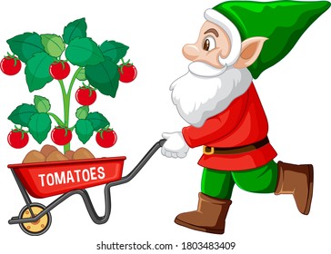 Gardening gnome with wheelbarrow illustration