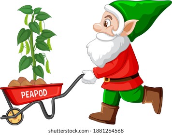 Gardening gnome with wheelbarrow illustration