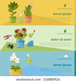 Gardening and growing houseplants. Set of vector banners for the web and mobile applications or graphic printed material.
