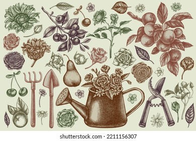 Gardening hand drawn vector illustrations collection. Stylized watering can, apples, cherry, rose, pears, shovel, rake, secateurs, chamomile, sunflower, forget me not flower, ranunculus, roses.