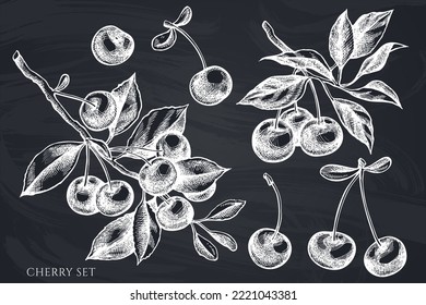 Colección de ilustraciones vectoriales dibujadas a mano de jardinería. Cereza de alca.